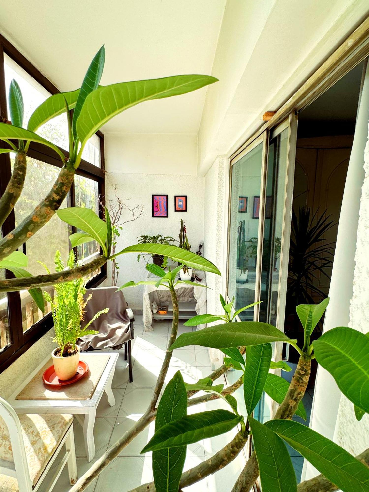 Large Room With Its Own Balcony Cairo Exterior foto